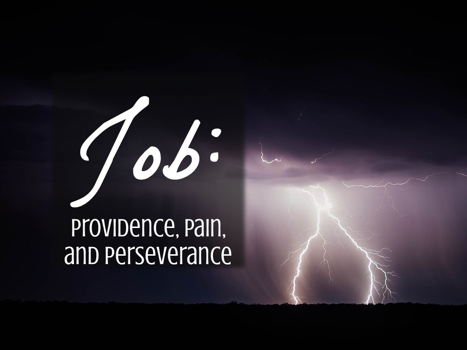 Job Speaks: The Prayers of Perseverance