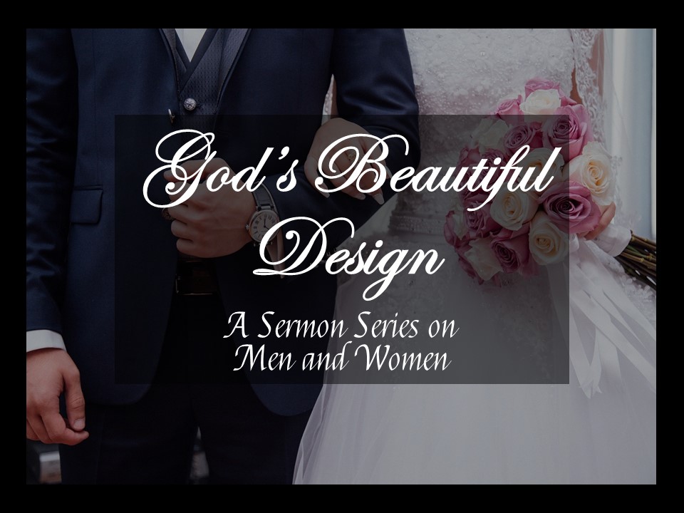 God’s Beautiful Design: Bearing God’s Image